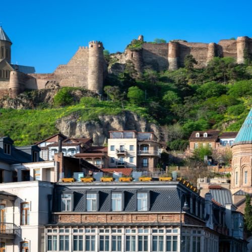 Georgia Visa Assistance Service